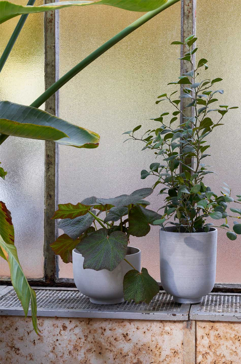 Collect Planters