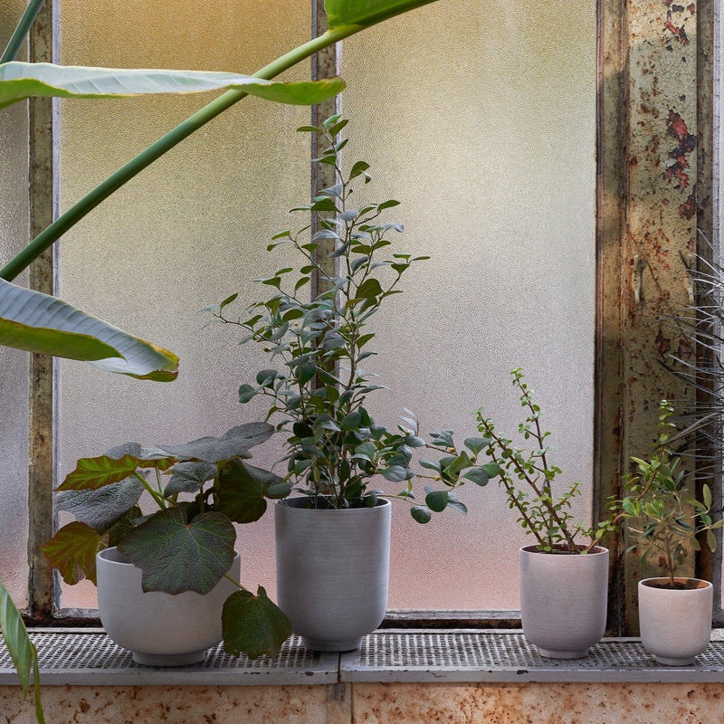Collect Planters