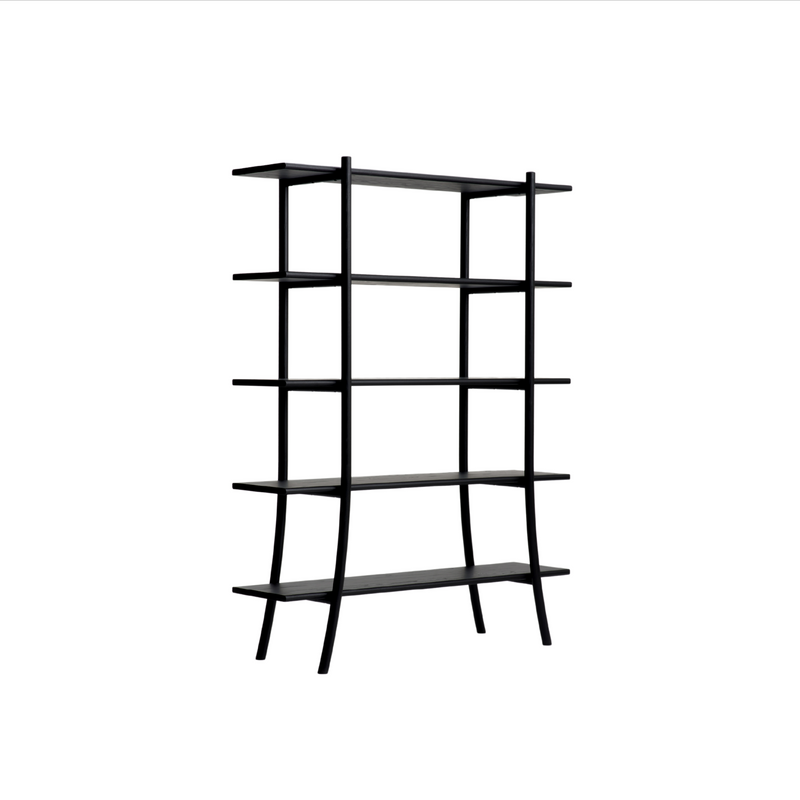 Skyladder Shelves